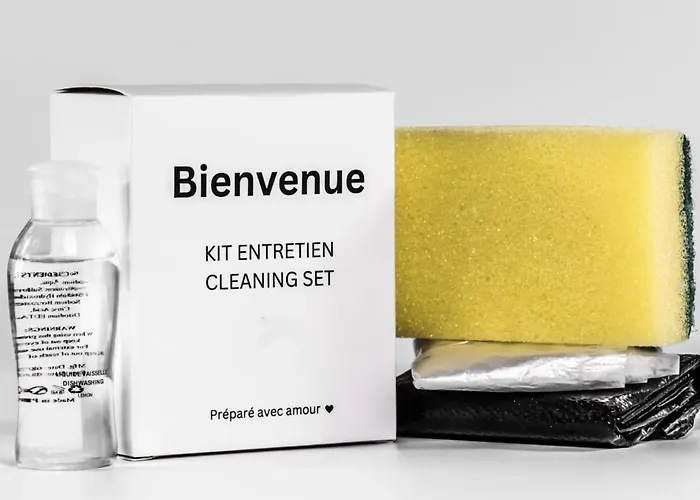 Le Michelet - Gare A 500 M * Tours